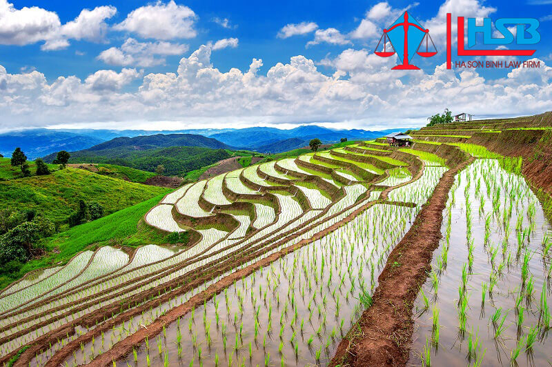 Điều kiện chuyển nhượng đất nông nghiệp, hạn mức và hồ sơ thủ tục