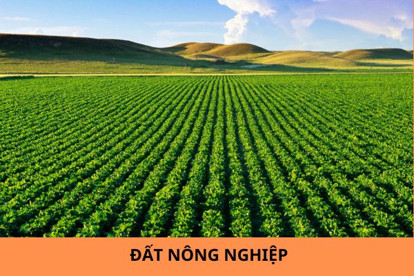 dat nong nghiep